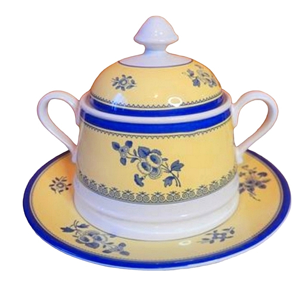 Vintage SPODE Cottagecore Sugar Bowl and Side Plate yellow and blue
